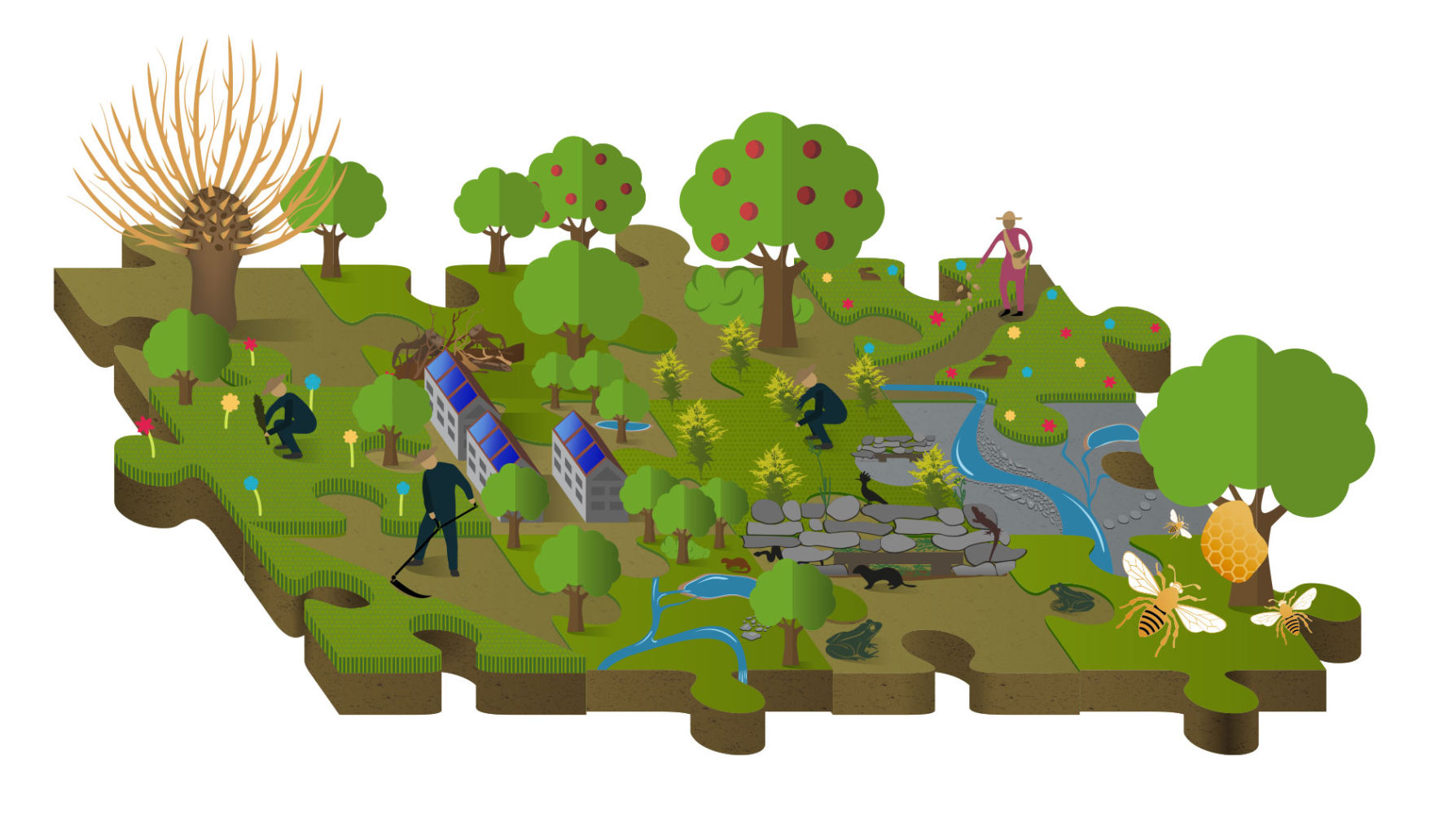 click map